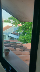 Jalan Asuhan (D11), Terrace #435611271